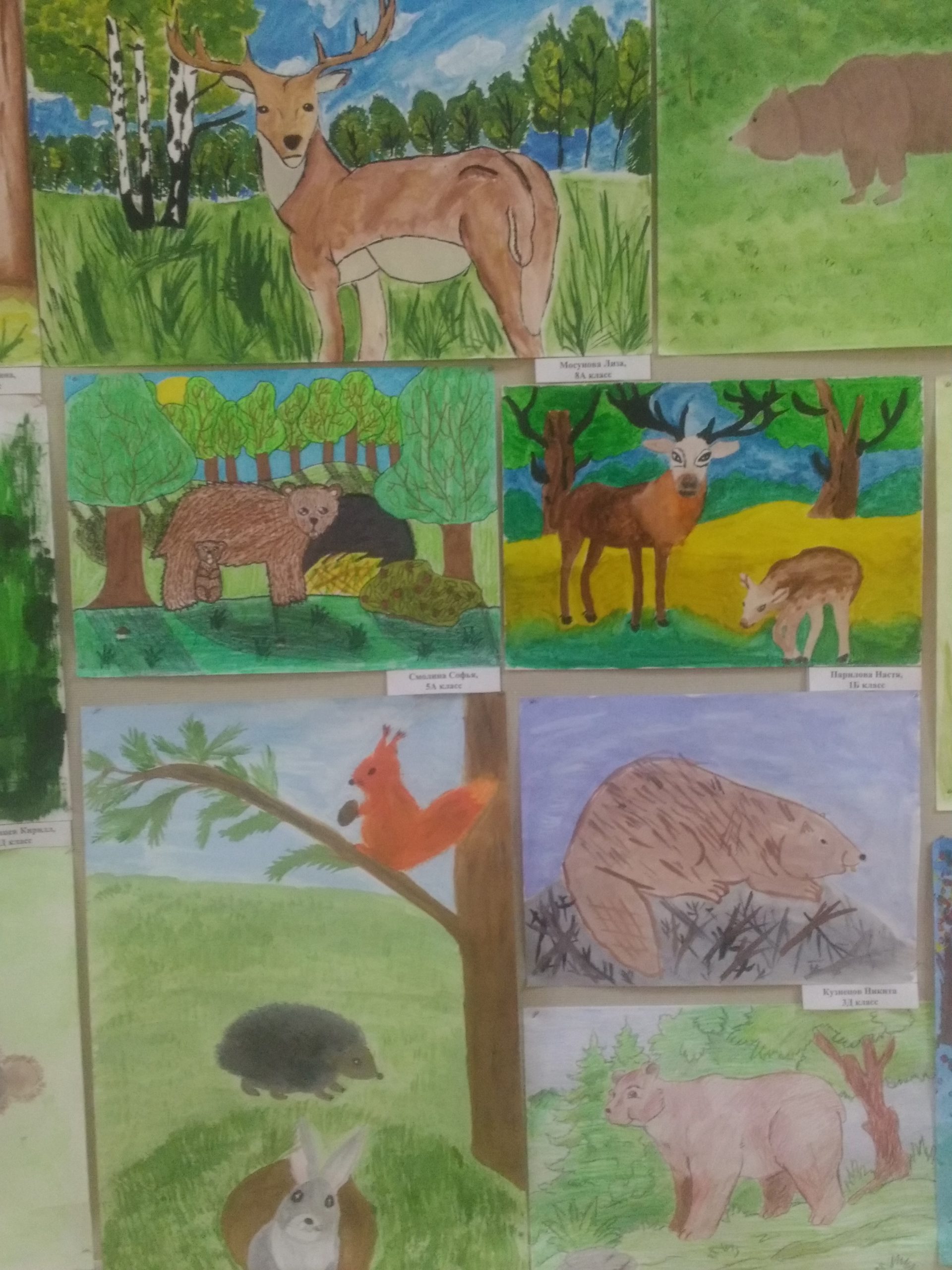 Конкурсы животный мир. Рисунок на конкурс животные. Животные в лесу рисунок. Конкурс рисунков жи. Конкурс животный мир.